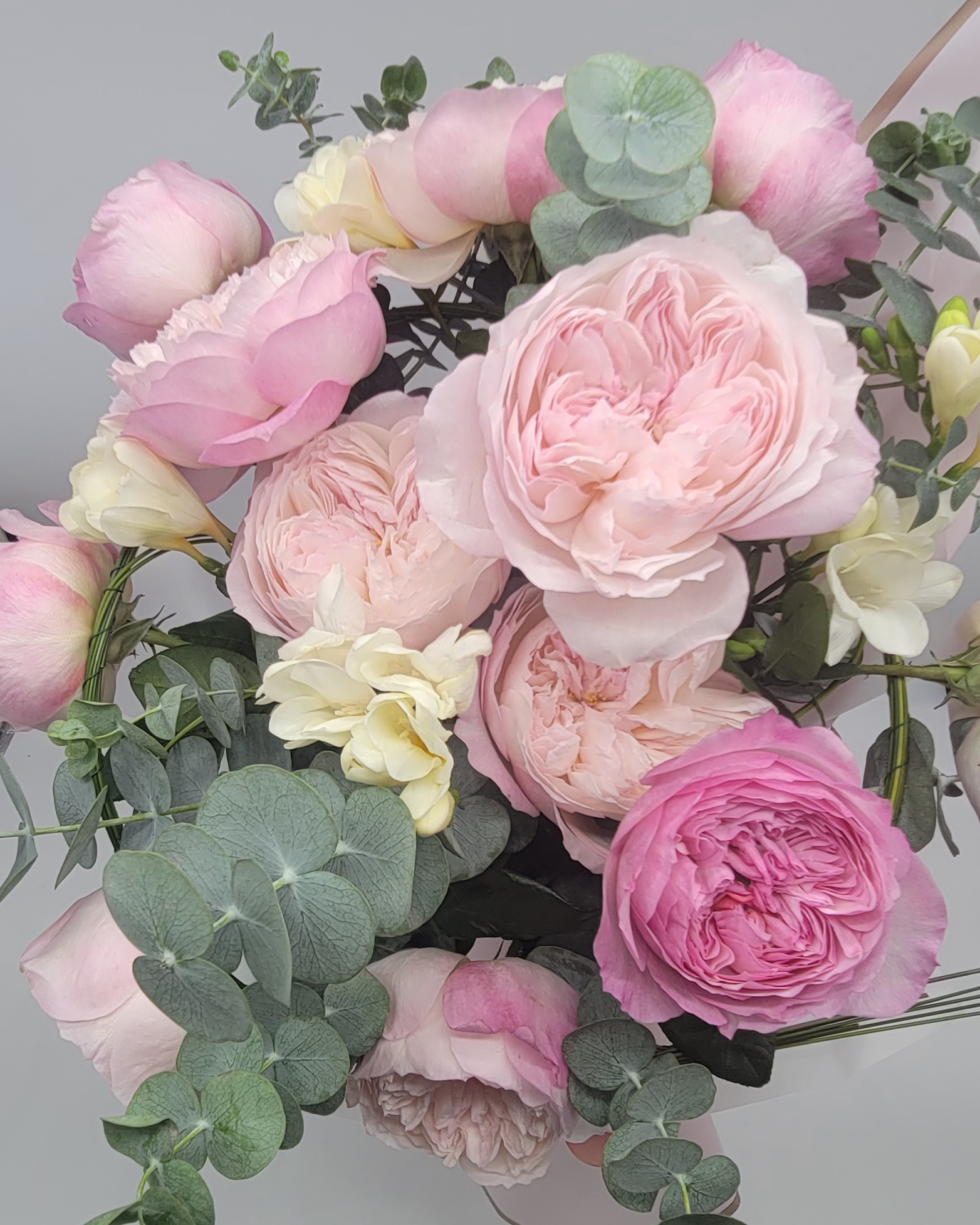 Juliette Roses